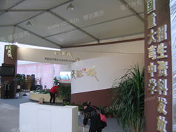 成都博達展覽展示服務 專業打造卓越展覽體驗